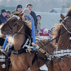 Во Владимирской области состоится фестиваль русской тройки