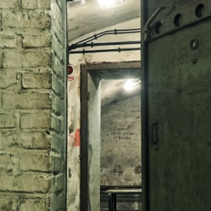 Во Владимирской области вскрылись проблемы с убежищами