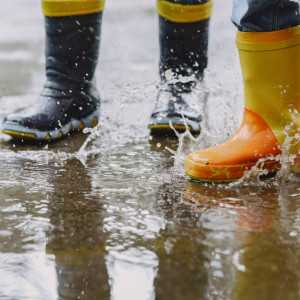 Прогноз погоды во Владимирской области на 8 октября