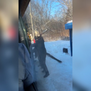 Очевидцы сообщили о массовой драке в автобусе в Муроме