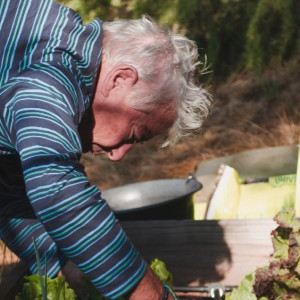 Во Владимирской области к заболевшим дачникам предложили направлять московских врачей