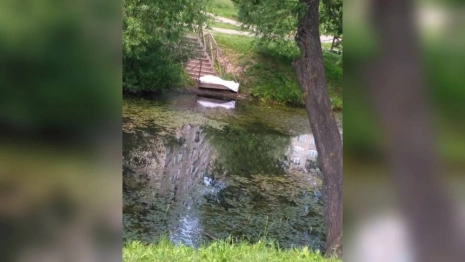 Прохожие заметили труп женщины у Красносельского пруда во Владимире 

