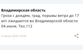 МЧС предупредило владимирцев о грозе и граде 4 июня