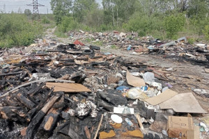 В Гусь-Хрустальном нашли огромную незаконную свалку