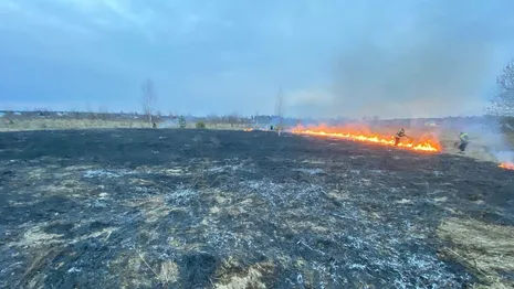 Во Владимирской области начался сезон ландшафтных пожаров