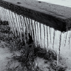 Синоптики дали прогноз на рабочую неделю во Владимирской области