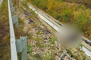 Во Владимирской области по пути из Орехово-Зуево задушили женщину