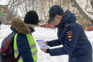 Полицейские «подсветили» юных пешеходов во Владимире