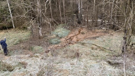 Работа мусорного полигона в Камешковском районе может обернуться уголовным делом