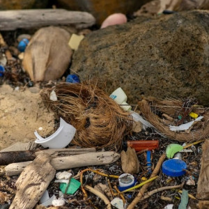 Во Владимирской области хозяина заваленной мусором земли оштрафовали на 23,5 млн рублей