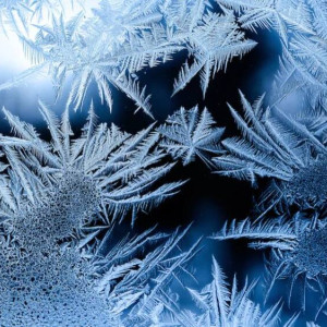 Во Владимирской области ввели оранжевый уровень опасности из-за угрозы пожаров и заморозков