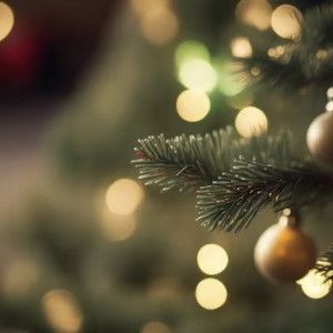 Во Владимире стартовали губернаторские новогодние елки