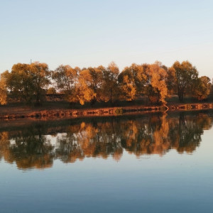 Тепло попрощается с Владимирской областью на последней неделе сентября