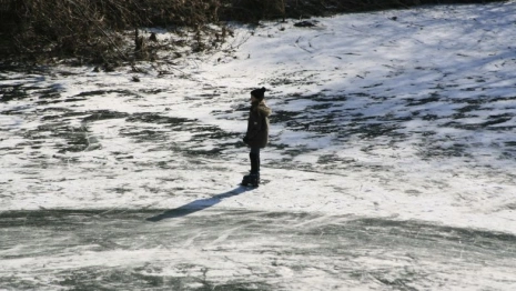 Во Владимирской области заговорили о переводе школьников на дистанционку