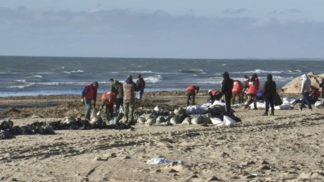 Волонтеры из Владимирской области отправятся расчищать Чёрное море 20 февраля