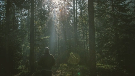 Во Владимирской области за месяц пропали 18 детей