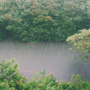 МЧС разослало экстренное предупреждение о непогоде во Владимирской области