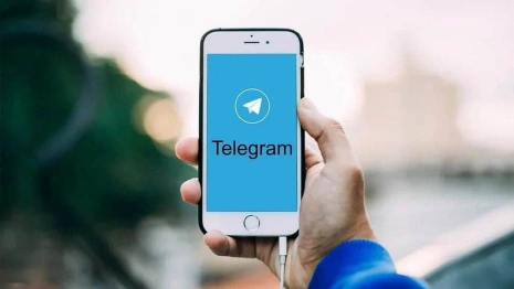 Администрация Владимирской области запустила сомнительный чат-бот в Telegram