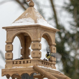 В Суздале мастера создали сказочную кормушку для птиц