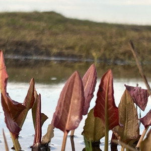 Во Владимирской области резко похолодает