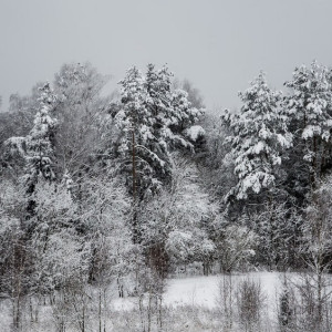 Синоптики пообещали слабый мороз в выходные во Владимирской области 