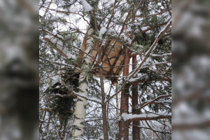 В Гусь-Хрустальном районе нашли браконьерские засидки