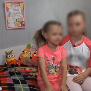 В Муроме семью подавшей жест помощи девочки прокуроры посчитали благополучной