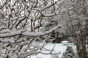 Прогноз погоды во Владимирской области на 30 декабря 2024 года