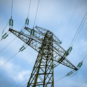 Во Владимирской области решили бороться с авариями на ЛЭП за счет вырубки леса