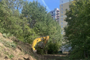 Владимирцы возмутились вырубкой деревьев рядом с парком «Дружба»