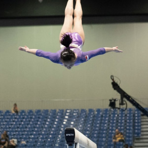 Во Владимире тренера отстранили от работы после избиения 8-летней гимнастки