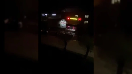 Глава Ингушетии взял на контроль ситуацию с избиением мужчин во Владимирской области