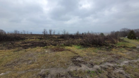 В Гороховецком районе подрядчик по борьбе с борщевиком кинул чиновников не деньги