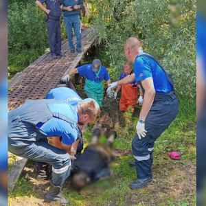 Погибшая в Суздальском районе пенсионерка была слепой