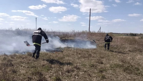 В Суздальском районе дважды за сутки загорелась сухая трава