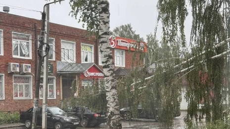 Киржачский район остался без света после урагана «Эдгар»