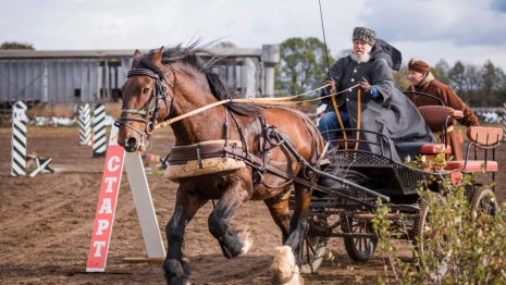Во Владимирской области пройдет фестиваль русских троек