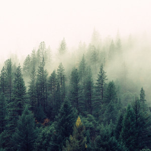 Лазерный полигон проведет испытания вооружения и военной техники в Радужном