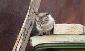 Прогноз погоды во Владимире и области на 6 декабря 2025 года