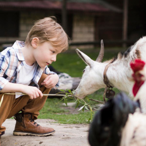Народные приметы на 27 января 2024 года: что можно и нельзя делать в Нинин день