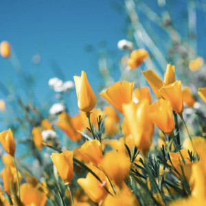 Прогноз погоды во Владимирской области на 23 марта