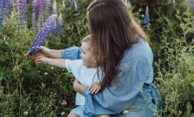 Во Владимирской области насчитали 4 матерей-героинь