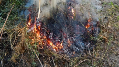 Во Владимирской области ландшафтные пожары за сутки выжгли пять участков