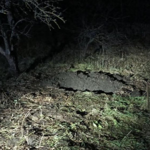 Жительница Петушинского района задушила мигранта веревкой и закопала труп на участке