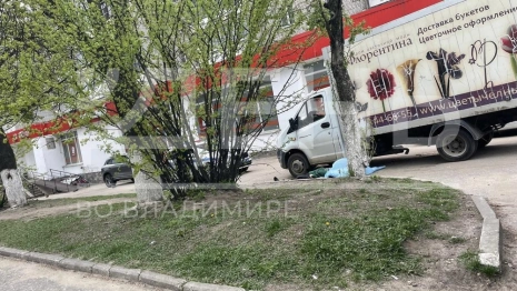 Во Владимире осудили сбившего насмерть 81-летнюю бабушку водителя ГАЗели