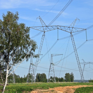 Во Владимирской области трассы 15 магистральных линий электропередачи