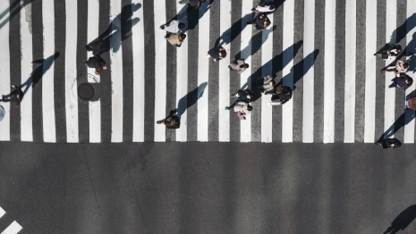 Во Владимирской области нашли живой женщину с седыми волосами 