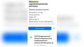 Во Владимирской  области министра здравоохранения ищут по объявлению