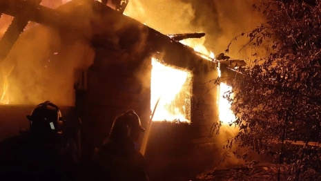 На смертельном пожаре под Александровом спаслись две женщины