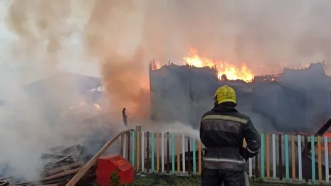 Во Владимирской области при пожаре спасли 28 лошадей